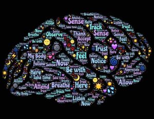 neuroplasticity-brain
