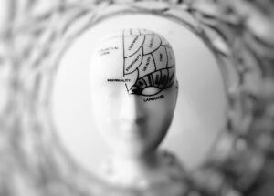neuroplasticity-work-in-the-brain