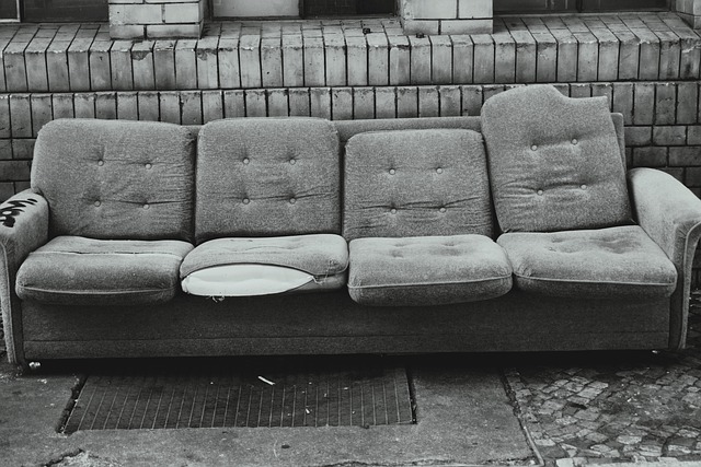 black-mold-sofa