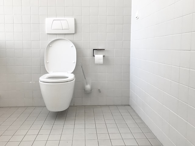 flush-toilet