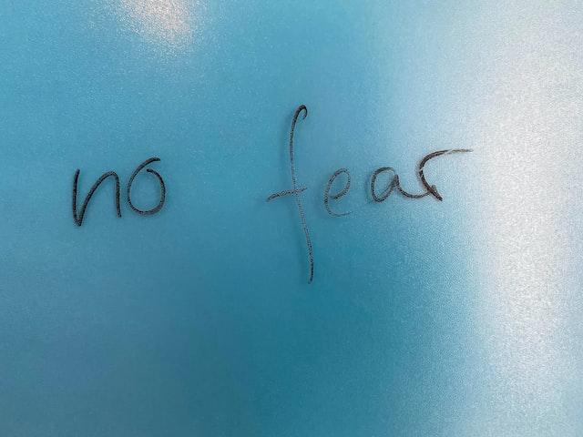 enjoy-fear