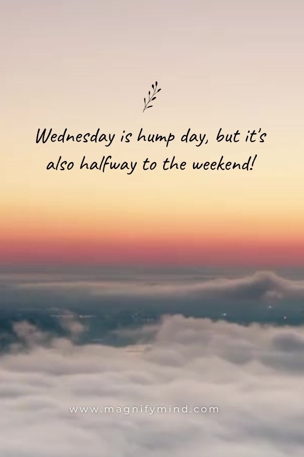 Wednesday is hump day, but it's also halfway to the weekend