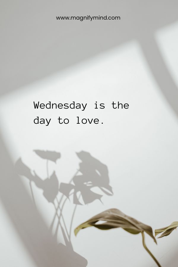 Wednesday is the day to love