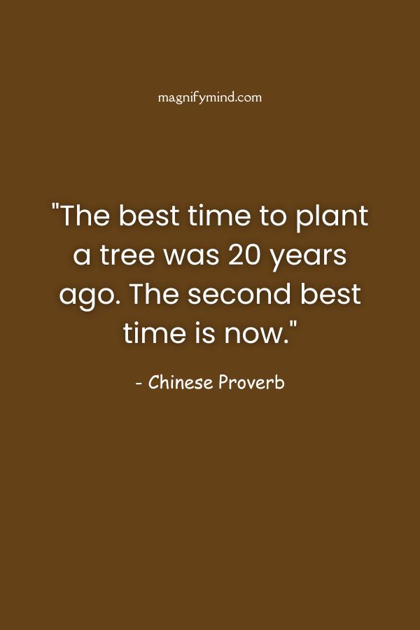 The best time to plant a tree was 20 years ago. The second best time is now