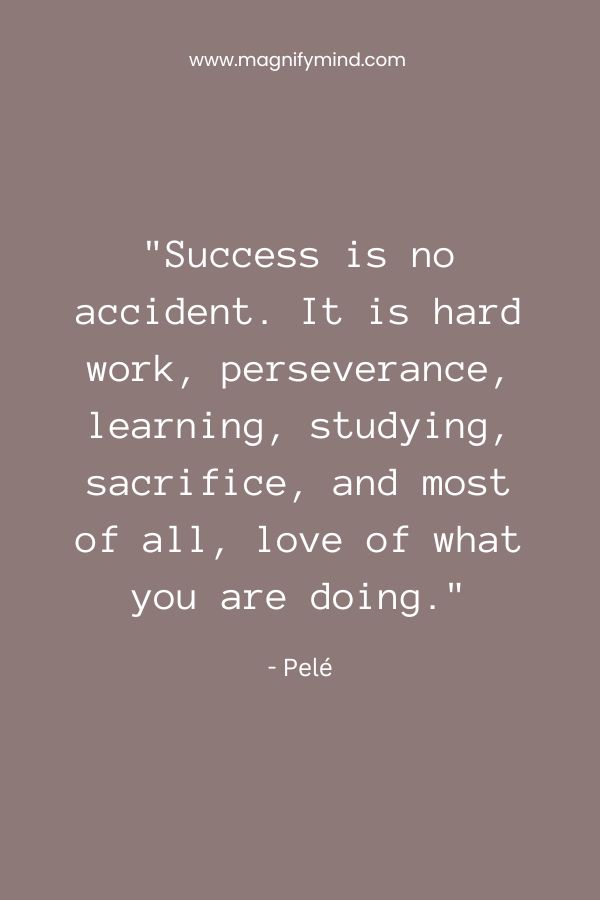Success is no accident. It is hard work, perseverance, learning, studying, sacrifice, and most of all, love of what you are doing