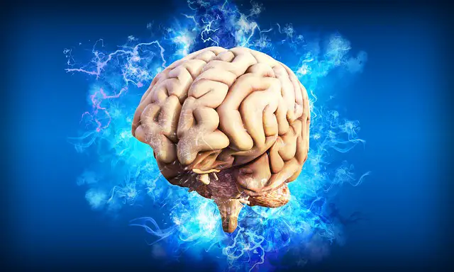 neurotypical vs neurodivergent brain