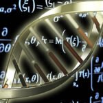 norepinephrine-vs-epinephrine