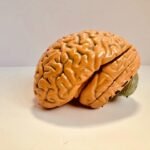 explicit and implicit memory