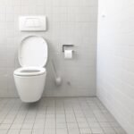 flush-toilet