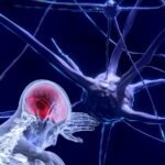 future-of-neuroscience