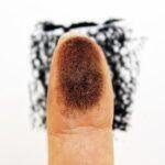 fingerprint