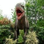 dinosaur