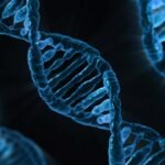 dna