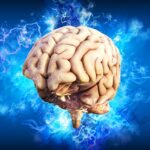 neurotypical vs neurodivergent brain