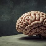 autoimmune brain disorders