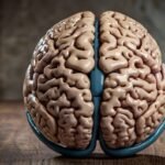 how to synchronize brain hemispheres