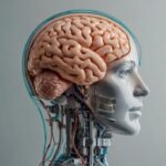 AI and brain