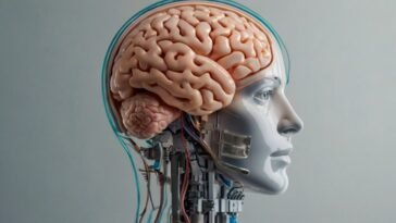 AI and brain