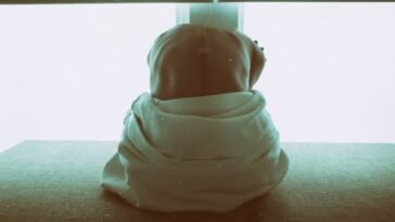 trauma-brain-disoders