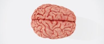 brain implants