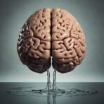 brain