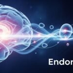 Release Endorphins